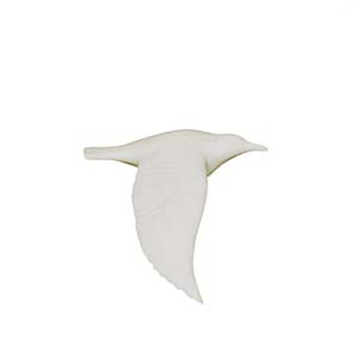 Oiseaux en vol biscuit set de 5 – Image 6