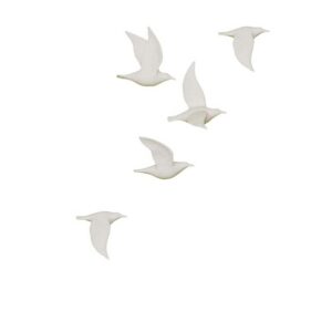 Oiseaux en vol biscuit set de 5