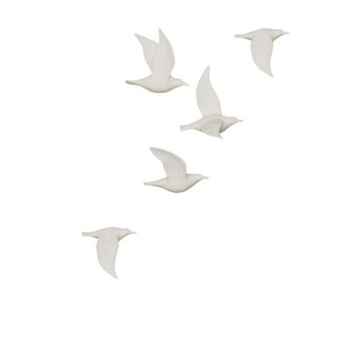 Oiseaux en vol biscuit set de 5